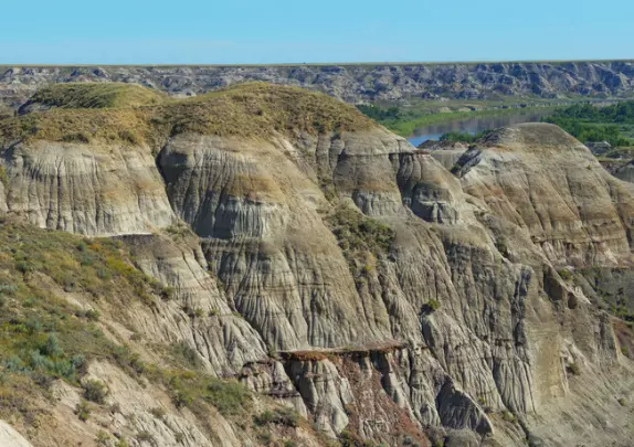 Alberta's Prehistoric Treasure Trove