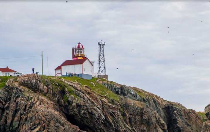 Bonavista