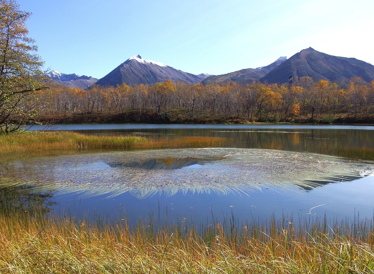 Clanwilliam-Erickson