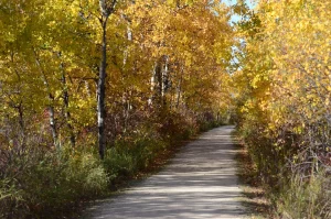 West Interlake