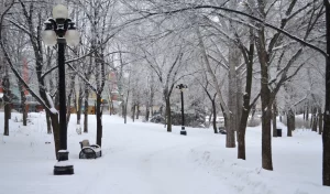 Winnipeg