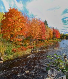 new brunswick