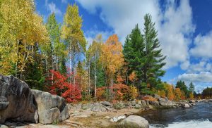 new brunswick