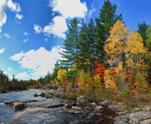 new brunswick