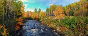 new brunswick