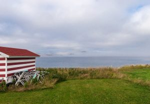 newfoundland