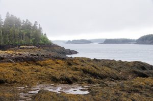 new brunswick