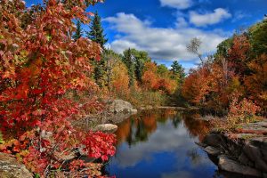 new brunswick