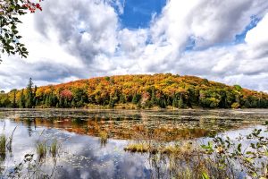 ontario