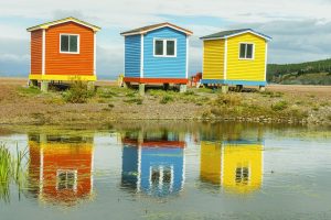 newfoundland