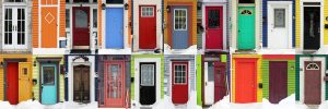 newfoundland