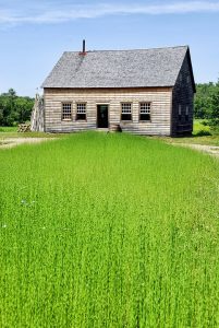 new brunswick