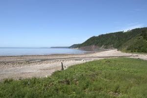 new brunswick