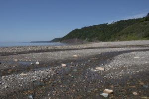 new brunswick