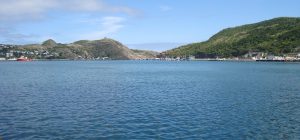 newfoundland