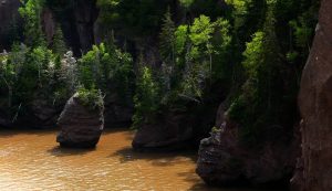 new brunswick