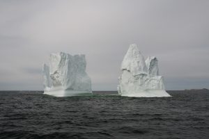 newfoundland