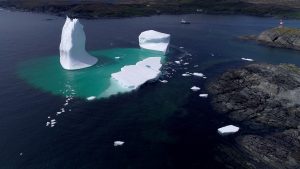 newfoundland