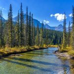 alberta