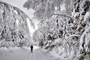 quebec