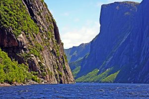 newfoundland
