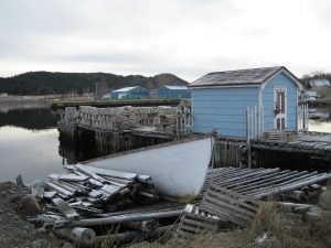 newfoundland