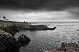 newfoundland