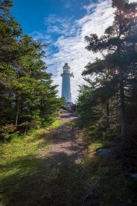 newfoundland