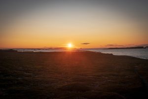 newfoundland