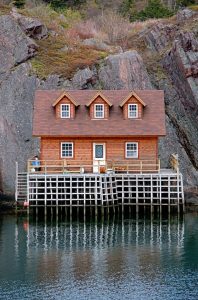 newfoundland