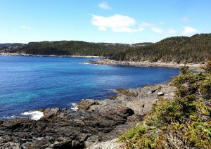 newfoundland
