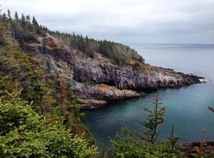 newfoundland
