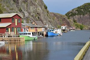 newfoundland