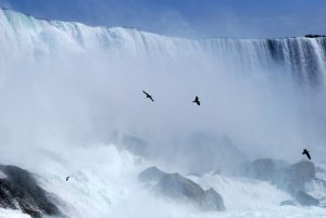 ontario