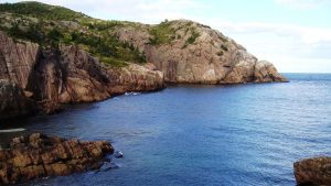 newfoundland