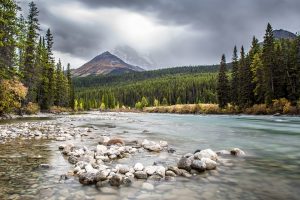 alberta