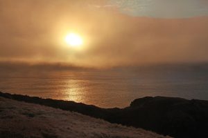 newfoundland