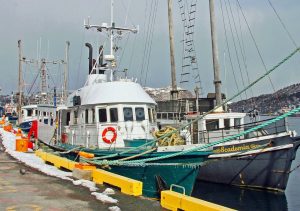 newfoundland