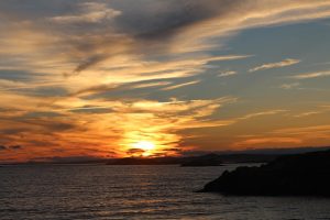 newfoundland