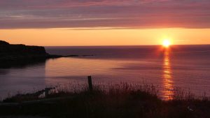 newfoundland