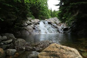 new brunswick